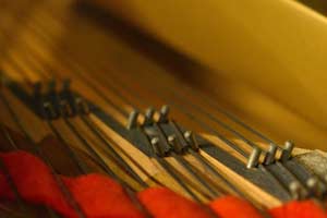 Yamaha C7, THE 7TH virtual piano instrument - close up strings