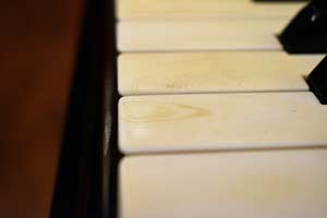 Yamaha C7, THE 7TH virtual piano instrument - ivory keys