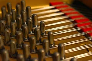 Yamaha C7, THE 7TH virtual piano instrument - tuning pins close up